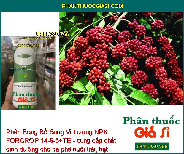 Phân Bóng Bổ Sung Vi Lượng NPK FORCROP 14-6-5+TE - Mập Đọt - Thúc Lớn Trái - To Củ - Nặng Ký