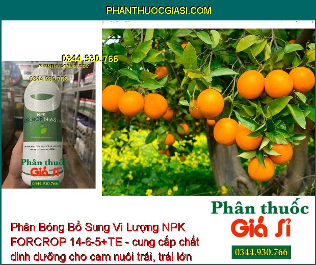 Phân Bóng Bổ Sung Vi Lượng NPK FORCROP 14-6-5+TE - Mập Đọt - Thúc Lớn Trái - To Củ - Nặng Ký