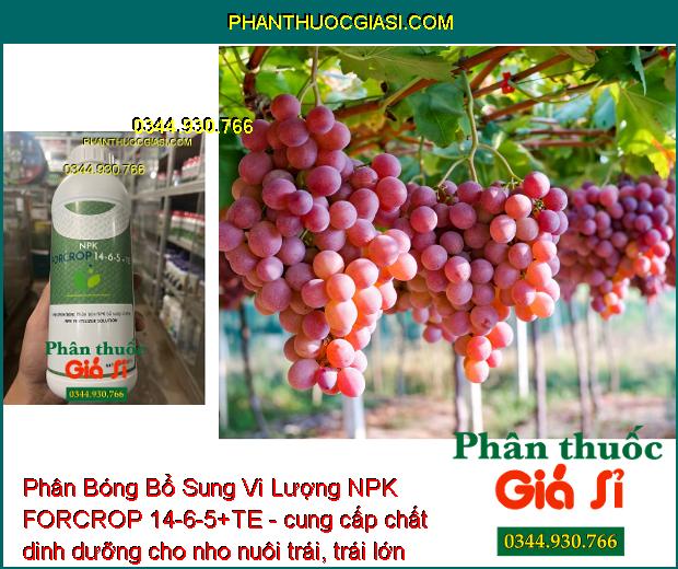 Phân Bóng Bổ Sung Vi Lượng NPK FORCROP 14-6-5+TE - Mập Đọt - Thúc Lớn Trái - To Củ - Nặng Ký