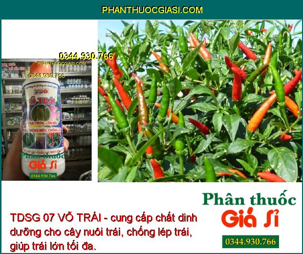 TDSG 07 VỖ TRÁI - Ức Chế Đọt Non - Kích Ra Hoa Đồng Loạt