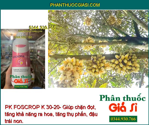 PK FOSCROP K 30-20- Phòng Ngừa Bệnh Thối Rễ - Tăng Sức Đề Kháng