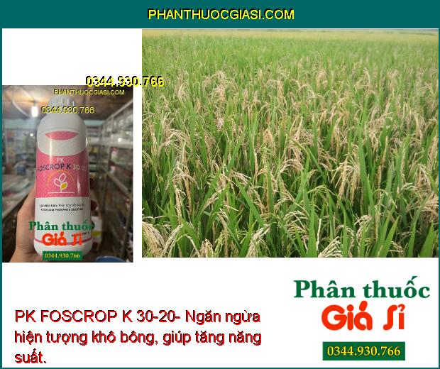 PK FOSCROP K 30-20- Phòng Ngừa Bệnh Thối Rễ - Tăng Sức Đề Kháng