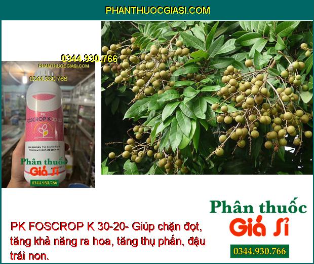 PK FOSCROP K 30-20- Phòng Ngừa Bệnh Thối Rễ - Tăng Sức Đề Kháng