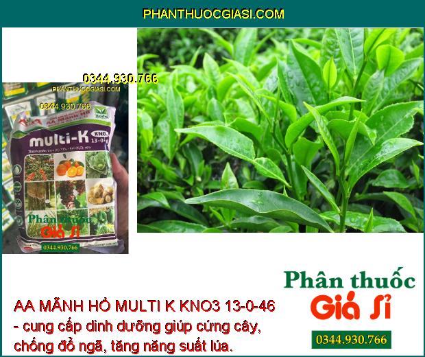 AA MÃNH HỔ MULTI K KNO3 13-0-46 - Tăng Khả Năng Hấp Thu -  Giảm Rụng Trái - Tăng Kích Thước Trái