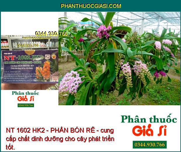 NT 1602 HK2 - PHÂN BÓN RỄ - Kích Rễ Khỏe - Phát Triển Mầm Hoa - Cánh Dày 