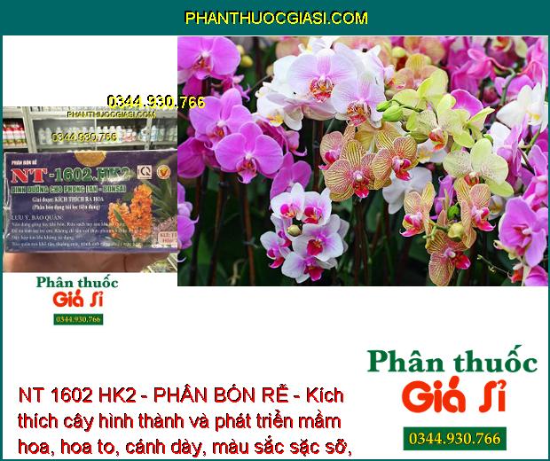 NT 1602 HK2 - PHÂN BÓN RỄ - Kích Rễ Khỏe - Phát Triển Mầm Hoa - Cánh Dày 