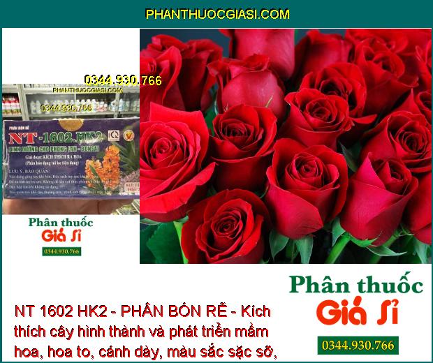 NT 1602 HK2 - PHÂN BÓN RỄ - Kích Rễ Khỏe - Phát Triển Mầm Hoa - Cánh Dày 