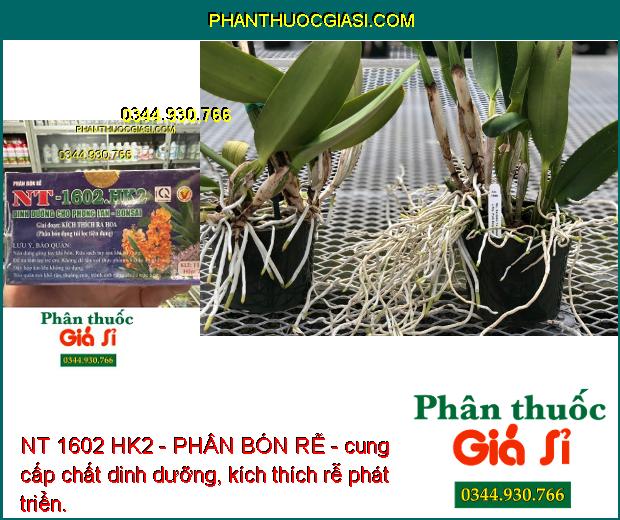 NT 1602 HK2 - PHÂN BÓN RỄ - Kích Rễ Khỏe - Phát Triển Mầm Hoa - Cánh Dày 