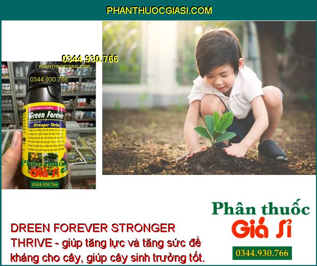 DREEN FOREVER STRONGER THRIVE - Phục Hồi Cây Suy Yếu - Chống Rụng Hoa Và Trái Non