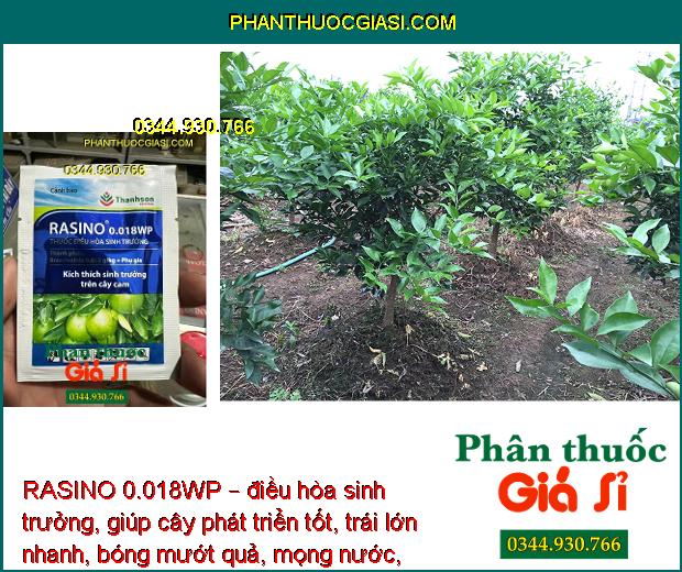 RASINO 0.018WP – Thuốc Kích Thích Sinh Trưởng Trên Cây Cam