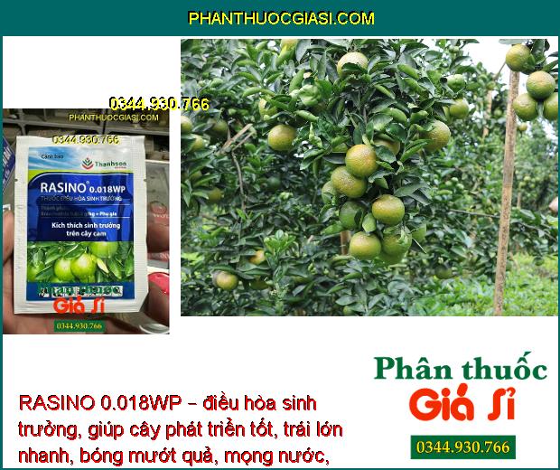 RASINO 0.018WP – Thuốc Kích Thích Sinh Trưởng Trên Cây Cam