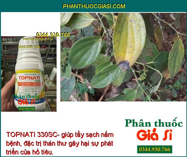 TOPNATI 330SC- Tẩy Sạch Nấm Bệnh - Đặc Trị Thán Thư - Đốm Lá - Thối Trái