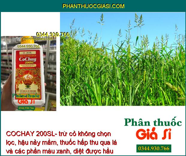 COCHAY 200SL- trừ cỏ không chọn lọc, hậu nảy mầm, thuốc hấp thu qua lá và các phần màu xanh, diệt được hầu hết các loại cỏ