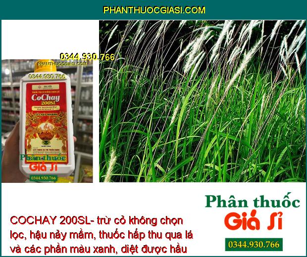 COCHAY 200SL- trừ cỏ không chọn lọc, hậu nảy mầm, thuốc hấp thu qua lá và các phần màu xanh, diệt được hầu hết các loại cỏ