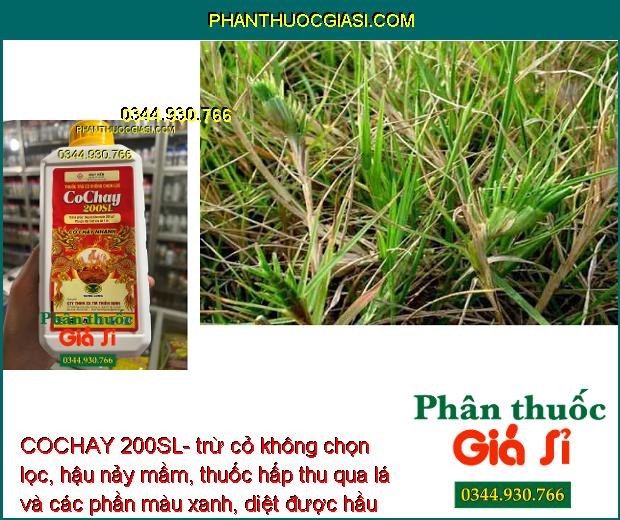 COCHAY 200SL- trừ cỏ không chọn lọc, hậu nảy mầm, thuốc hấp thu qua lá và các phần màu xanh, diệt được hầu hết các loại cỏ