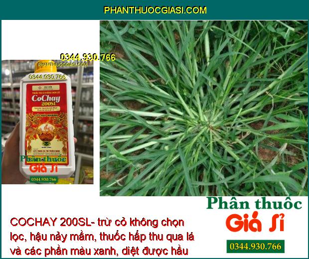 COCHAY 200SL- trừ cỏ không chọn lọc, hậu nảy mầm, thuốc hấp thu qua lá và các phần màu xanh, diệt được hầu hết các loại cỏ