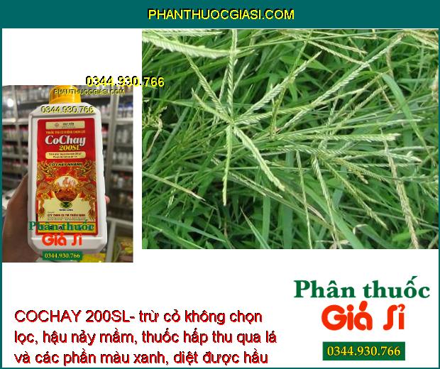 COCHAY 200SL- trừ cỏ không chọn lọc, hậu nảy mầm, thuốc hấp thu qua lá và các phần màu xanh, diệt được hầu hết các loại cỏCOCHAY 200SL- trừ cỏ không chọn lọc, hậu nảy mầm, thuốc hấp thu qua lá và các phần màu xanh, diệt được hầu hết các loại cỏ