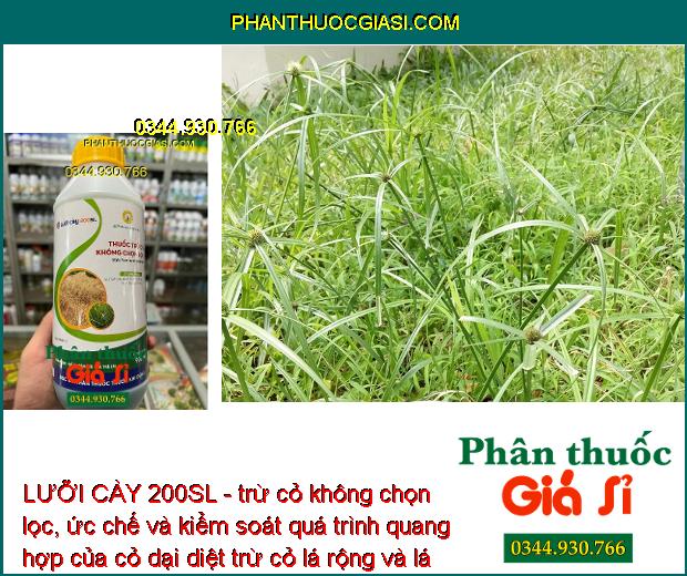 LƯỠI CÀY 200SL - Thuốc Trừ Cỏ Không Chọn Lọc Đặc Trị Cỏ Lá Rộng - Lá Hẹp