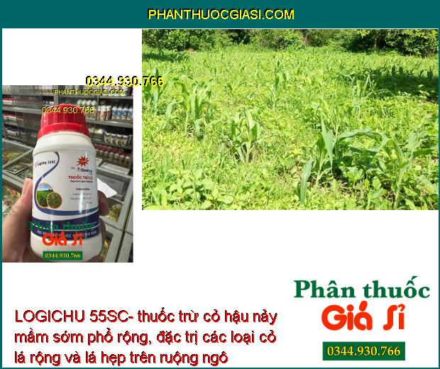 LOGICHU 55SC- Thuốc Trừ Cỏ Hậu Nảy Mầm Sớm Phổ Rộng Trên Ruộng Ngô