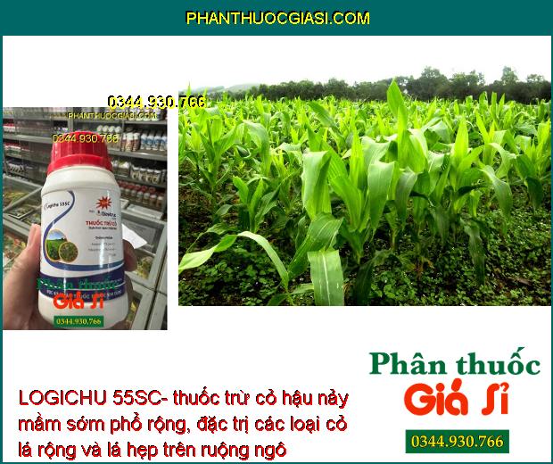 LOGICHU 55SC- Thuốc Trừ Cỏ Hậu Nảy Mầm Sớm Phổ Rộng Trên Ruộng Ngô