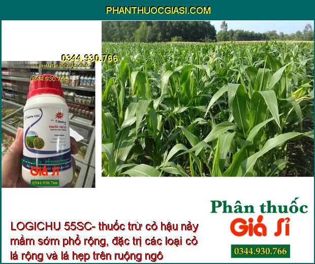 LOGICHU 55SC- Thuốc Trừ Cỏ Hậu Nảy Mầm Sớm Phổ Rộng Trên Ruộng Ngô