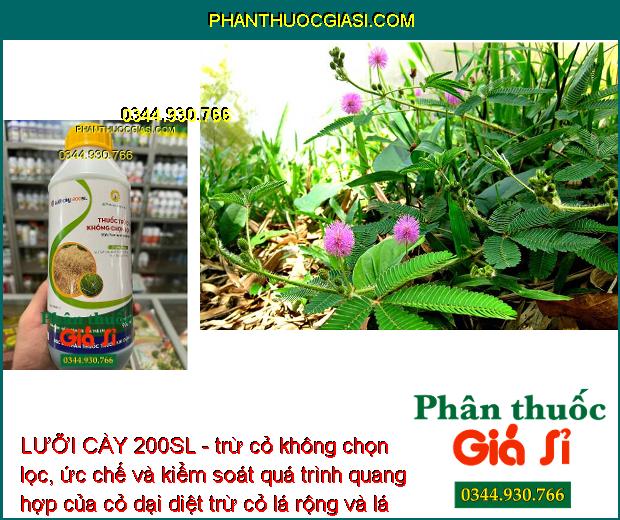 LƯỠI CÀY 200SL - Thuốc Trừ Cỏ Không Chọn Lọc Đặc Trị Cỏ Lá Rộng - Lá Hẹp