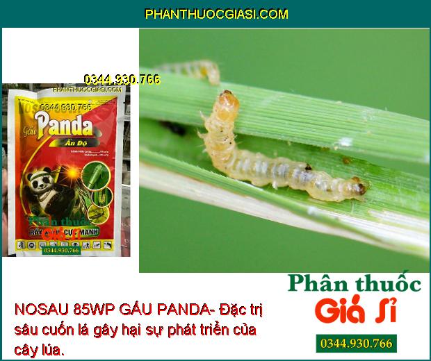 NOSAU 85WP GẤU PANDA- Thuốc Đặc Trị Rầy Xanh Cực Mạnh