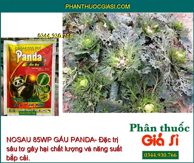 NOSAU 85WP GẤU PANDA- Thuốc Đặc Trị Rầy Xanh Cực Mạnh