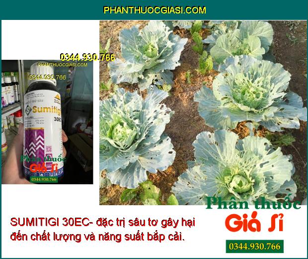 SUMITIGI 30EC- Đặc Trị Các Loại Sâu Kháng Thuốc - Đặc Biệt Sâu Cuốn Lá