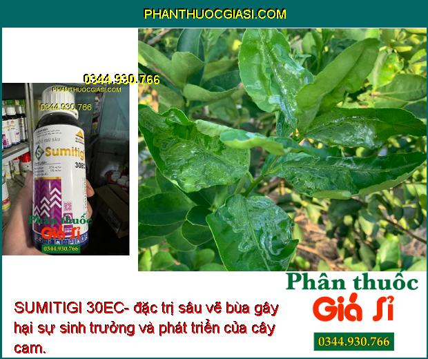 SUMITIGI 30EC- Đặc Trị Các Loại Sâu Kháng Thuốc - Đặc Biệt Sâu Cuốn Lá