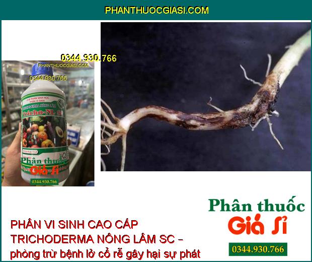 PHÂN VI SINH CAO CẤP TRICHODERMA NÔNG LÂM SC – Ngăn Ngừa Nấm Và Vi Khuẩn Gây Hại Cây Trồng