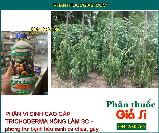 PHÂN VI SINH CAO CẤP TRICHODERMA NÔNG LÂM SC – Ngăn Ngừa Nấm Và Vi Khuẩn Gây Hại Cây Trồng