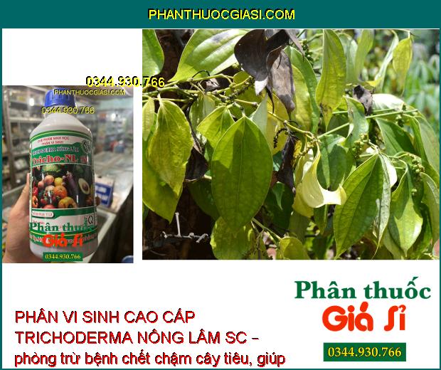 PHÂN VI SINH CAO CẤP TRICHODERMA NÔNG LÂM SC – Ngăn Ngừa Nấm Và Vi Khuẩn Gây Hại Cây Trồng