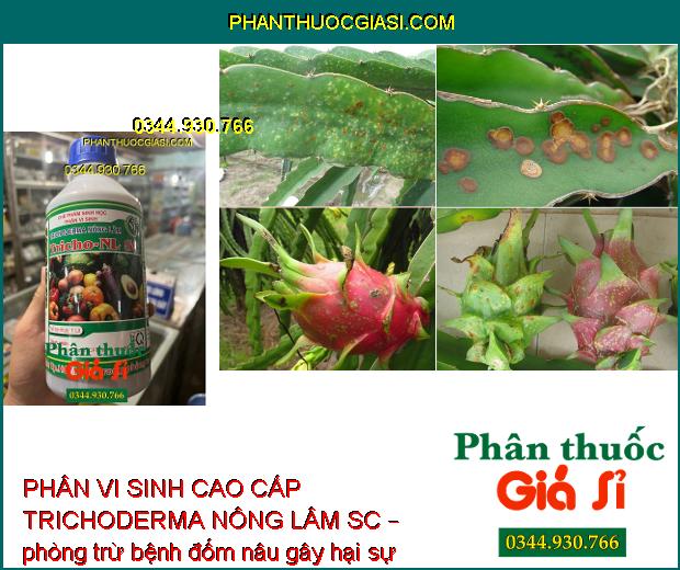 PHÂN VI SINH CAO CẤP TRICHODERMA NÔNG LÂM SC – Ngăn Ngừa Nấm Và Vi Khuẩn Gây Hại Cây Trồng