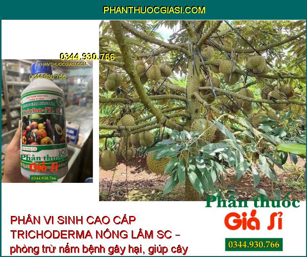 PHÂN VI SINH CAO CẤP TRICHODERMA NÔNG LÂM SC – Ngăn Ngừa Nấm Và Vi Khuẩn Gây Hại Cây Trồng