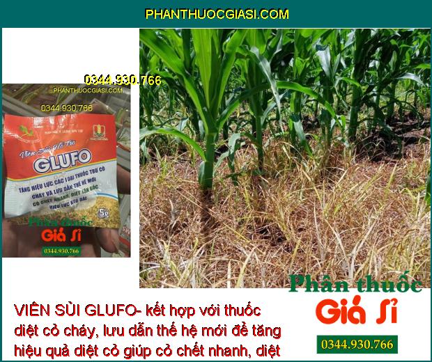 VIÊN SỦI GLUFO- Tăng Hiệu Lực Thuốc Trừ Cỏ Cháy Nhanh - Diệt Tận Gốc