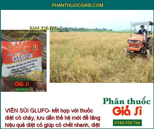 VIÊN SỦI GLUFO- Tăng Hiệu Lực Thuốc Trừ Cỏ Cháy Nhanh - Diệt Tận Gốc