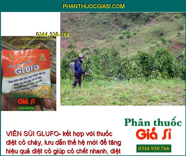 VIÊN SỦI GLUFO- Tăng Hiệu Lực Thuốc Trừ Cỏ Cháy Nhanh - Diệt Tận Gốc