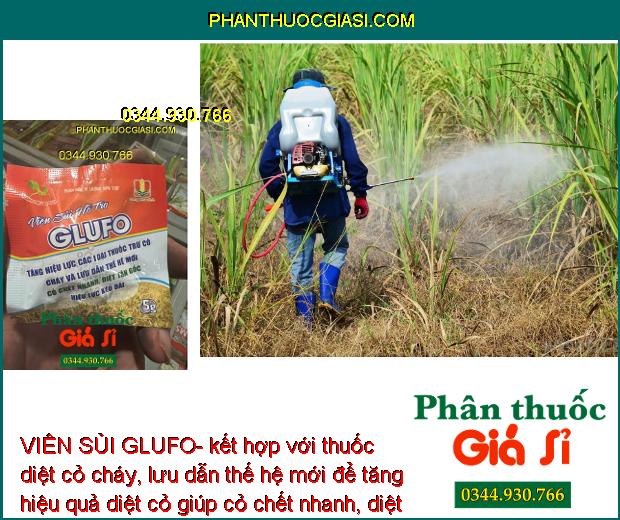 VIÊN SỦI GLUFO- Tăng Hiệu Lực Thuốc Trừ Cỏ Cháy Nhanh - Diệt Tận Gốc