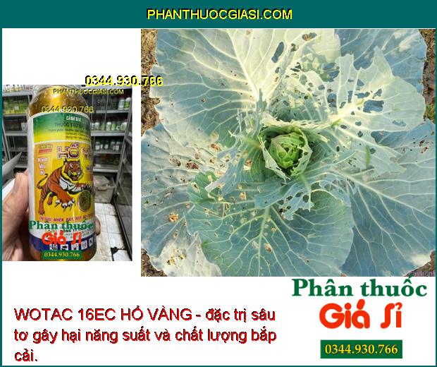 WOTAC 16EC HỔ VÀNG - Thuốc Đặc Trị Sâu - Nhện - Rầy Gây Hại Cây Trồng