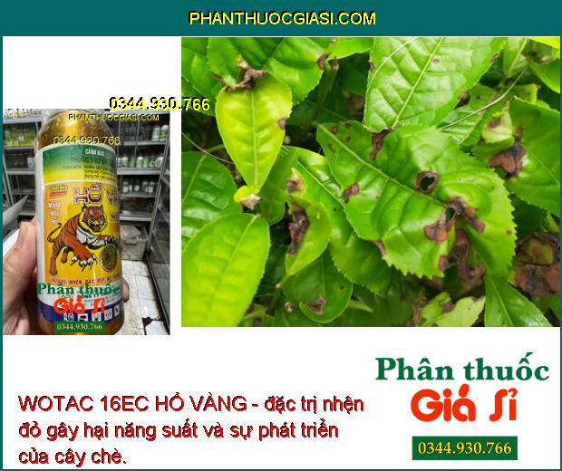 WOTAC 16EC HỔ VÀNG - Thuốc Đặc Trị Sâu - Nhện - Rầy Gây Hại Cây Trồng