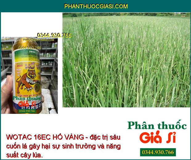 WOTAC 16EC HỔ VÀNG - Thuốc Đặc Trị Sâu - Nhện - Rầy Gây Hại Cây Trồng