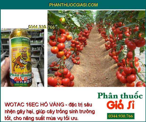 WOTAC 16EC HỔ VÀNG - Thuốc Đặc Trị Sâu - Nhện - Rầy Gây Hại Cây Trồng