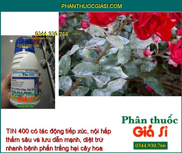 TIN 400- Phòng Trừ Bệnh Do Nấm Gây Hại Cây Trồng