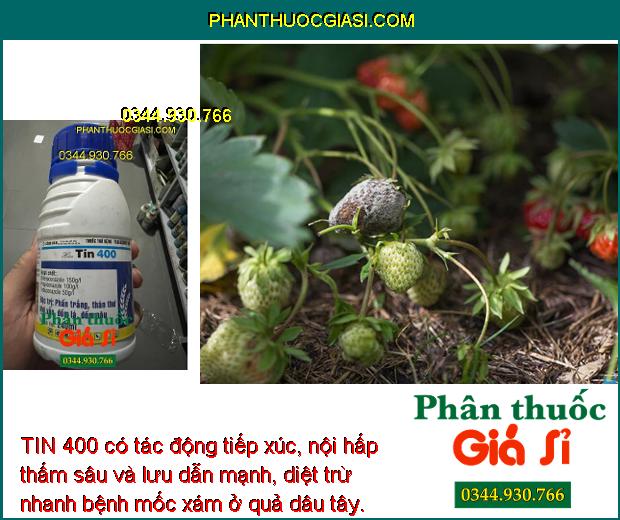 TIN 400- Phòng Trừ Bệnh Do Nấm Gây Hại Cây Trồng