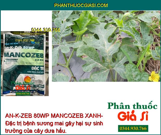 AN-K-ZEB 80WP MANCOZEB XANH- Đặc Trị Nấm Bệnh Phổ Rộng