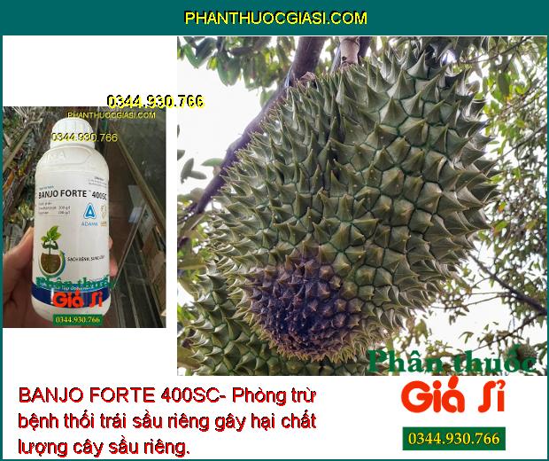 BANJO FORTE 400SC- Phòng Trừ Bệnh Do Nấm Gây Hại Cây Trồng