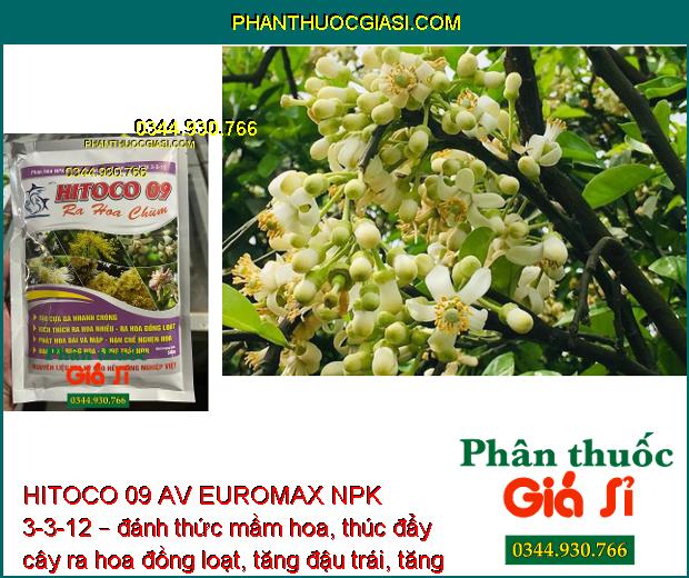 HITOCO 09 AV EUROMAX NPK 3-3-12 – Thúc Đẩy Mầm Hoa - Trổ Bông Đồng Loạt 