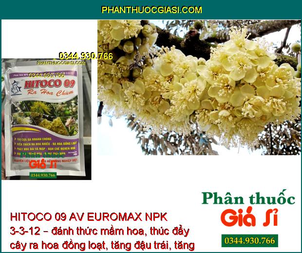 HITOCO 09 AV EUROMAX NPK 3-3-12 – Thúc Đẩy Mầm Hoa - Trổ Bông Đồng Loạt 