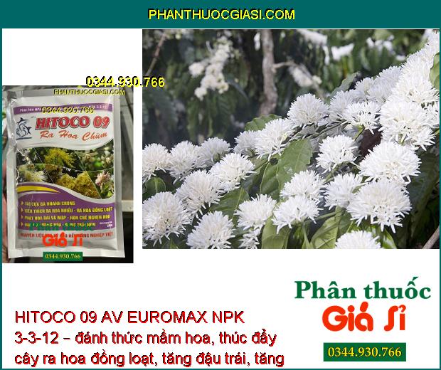 HITOCO 09 AV EUROMAX NPK 3-3-12 – Thúc Đẩy Mầm Hoa - Trổ Bông Đồng Loạt 